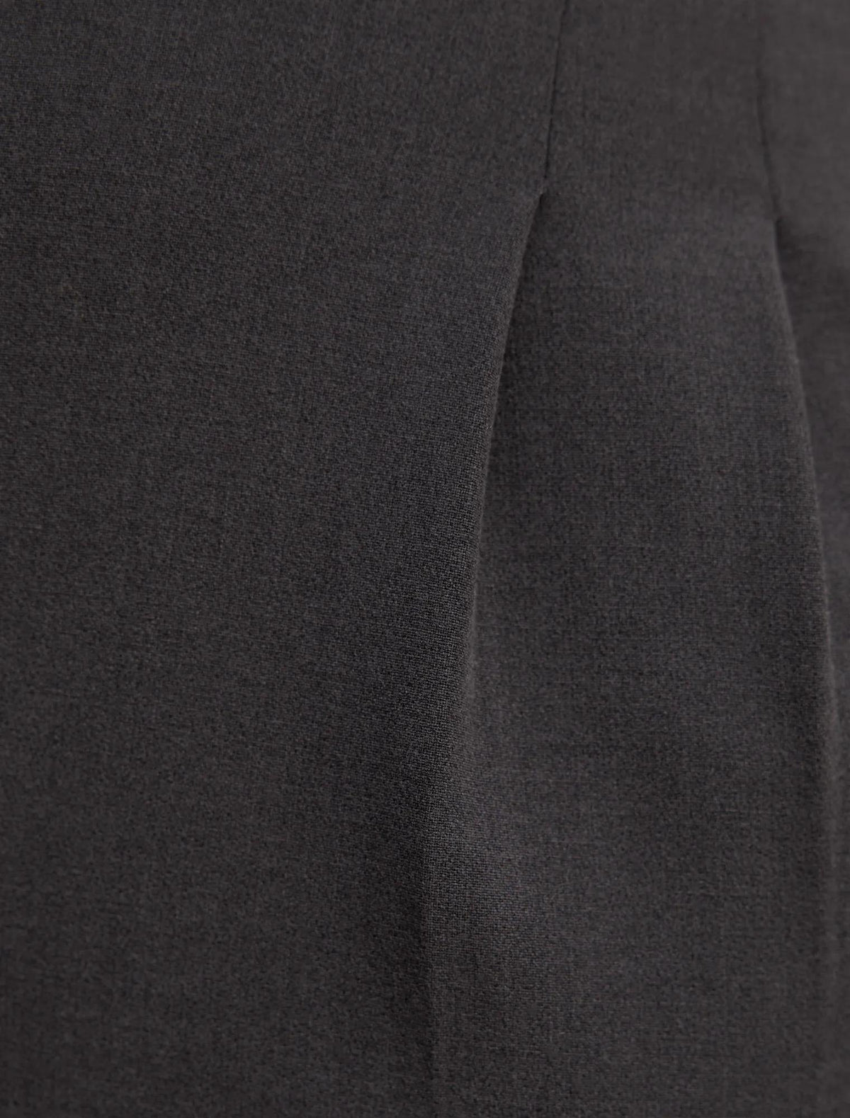 Eva Pleat Wide Leg Pants Charcoal Grey
