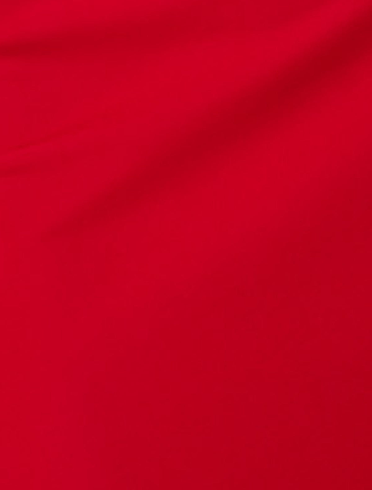 29543102